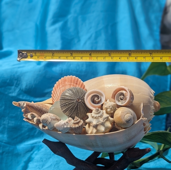 Decorative SeaScape on Wooden Stand - Picture 3 of 7